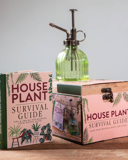 Houseplant Survival Set