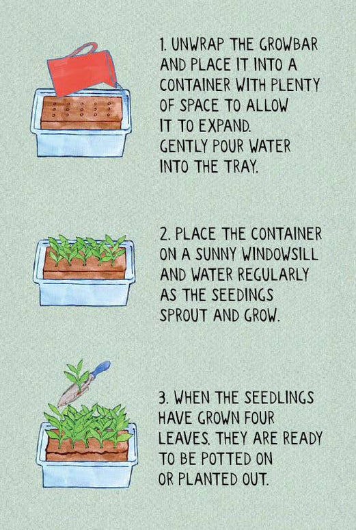 The Cocktail Growbar