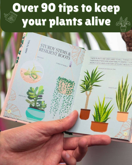 Houseplant Survival Set