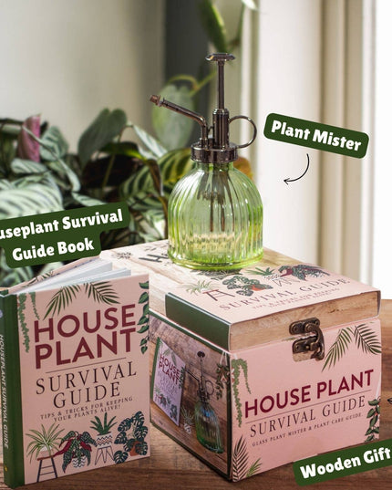 Houseplant Survival Set