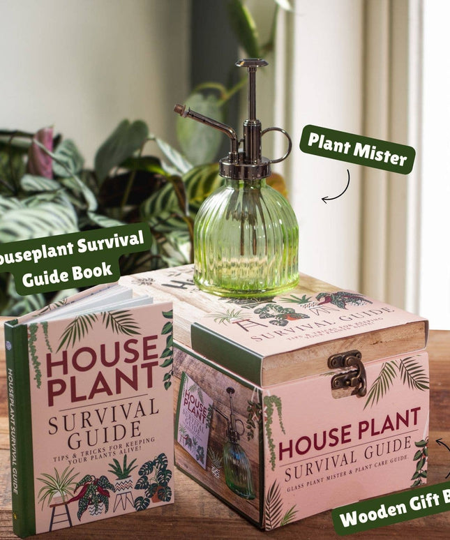 Houseplant Survival Set