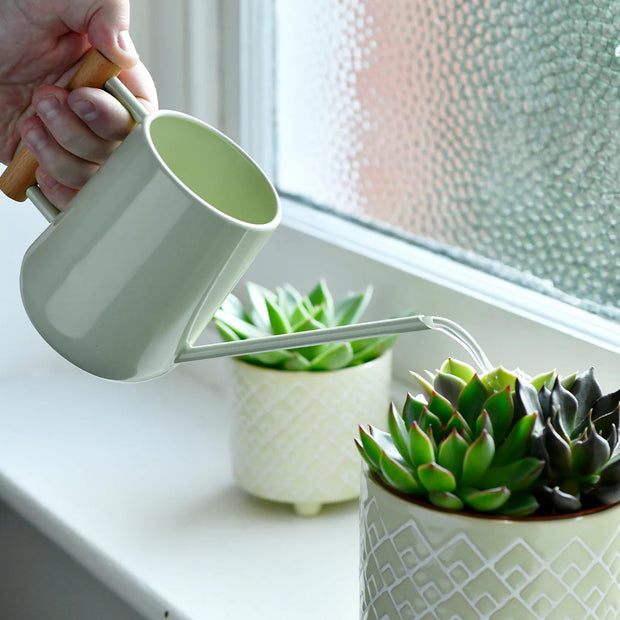 <h3>House Plant Accesories</h3>
